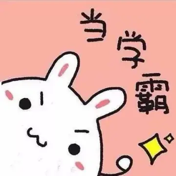 小学数学小助手小升初重点教材