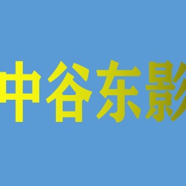武汉中谷东影科技有限公司