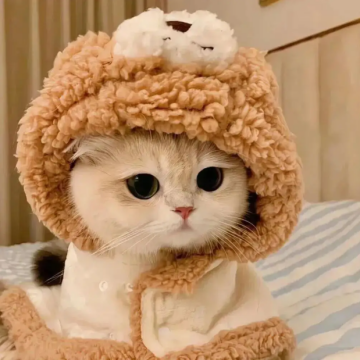 王者游戏情报局