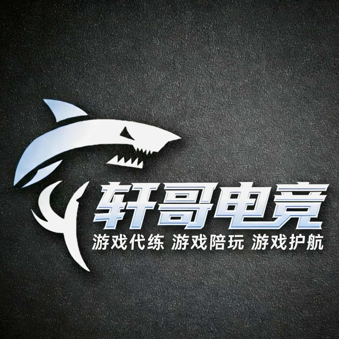 广东轩哥电竞科技有限公司