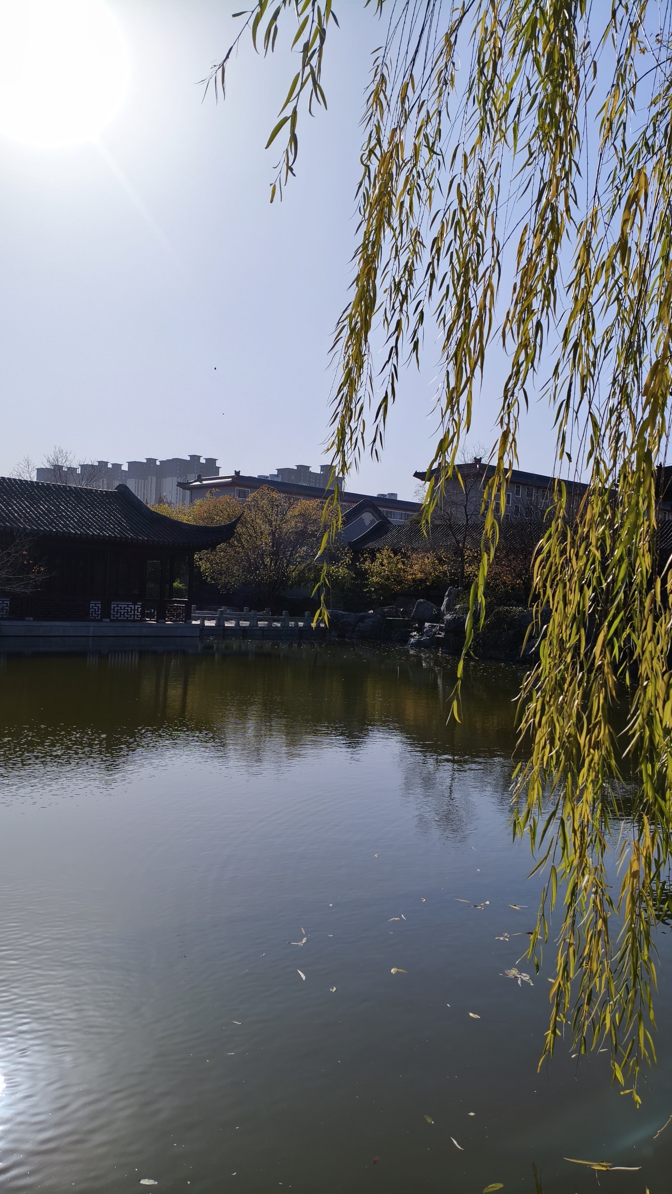 小学数学尹金芳老师