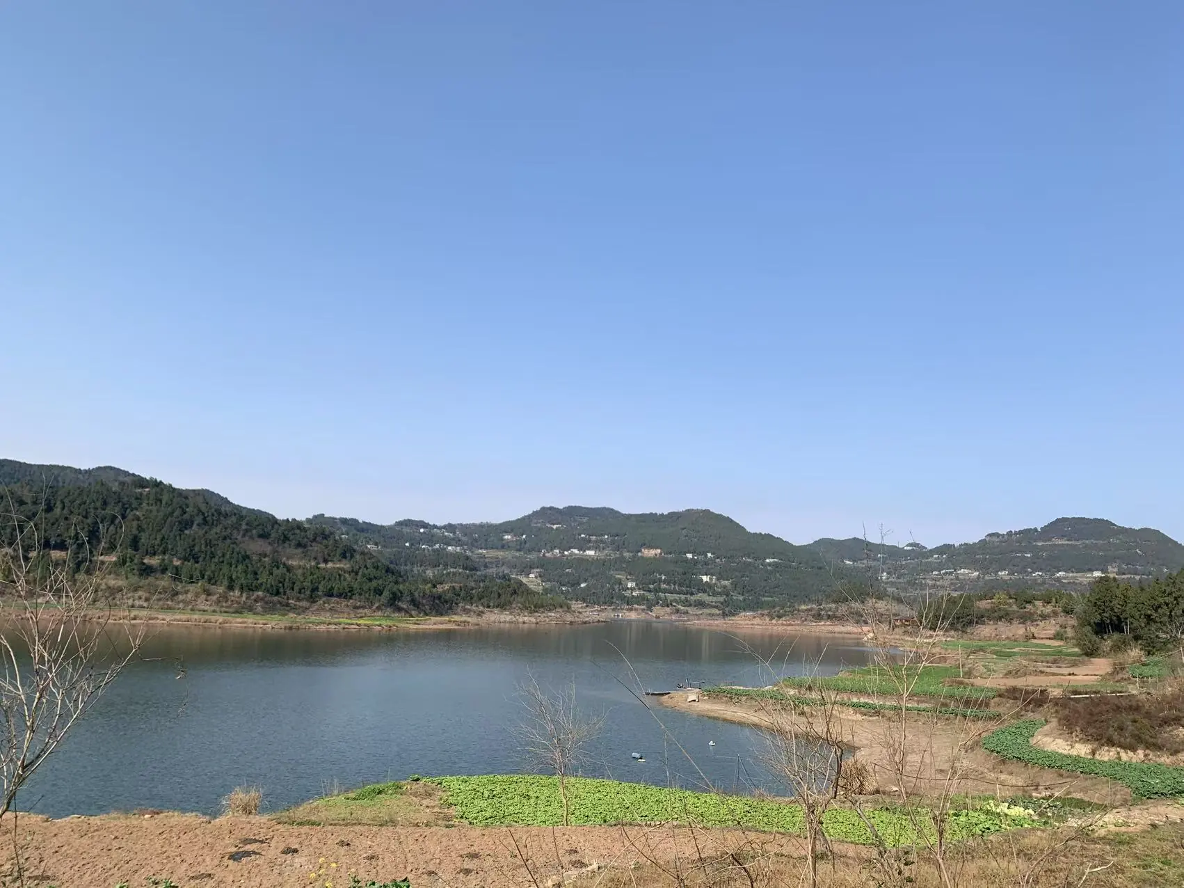 初中数学任老师