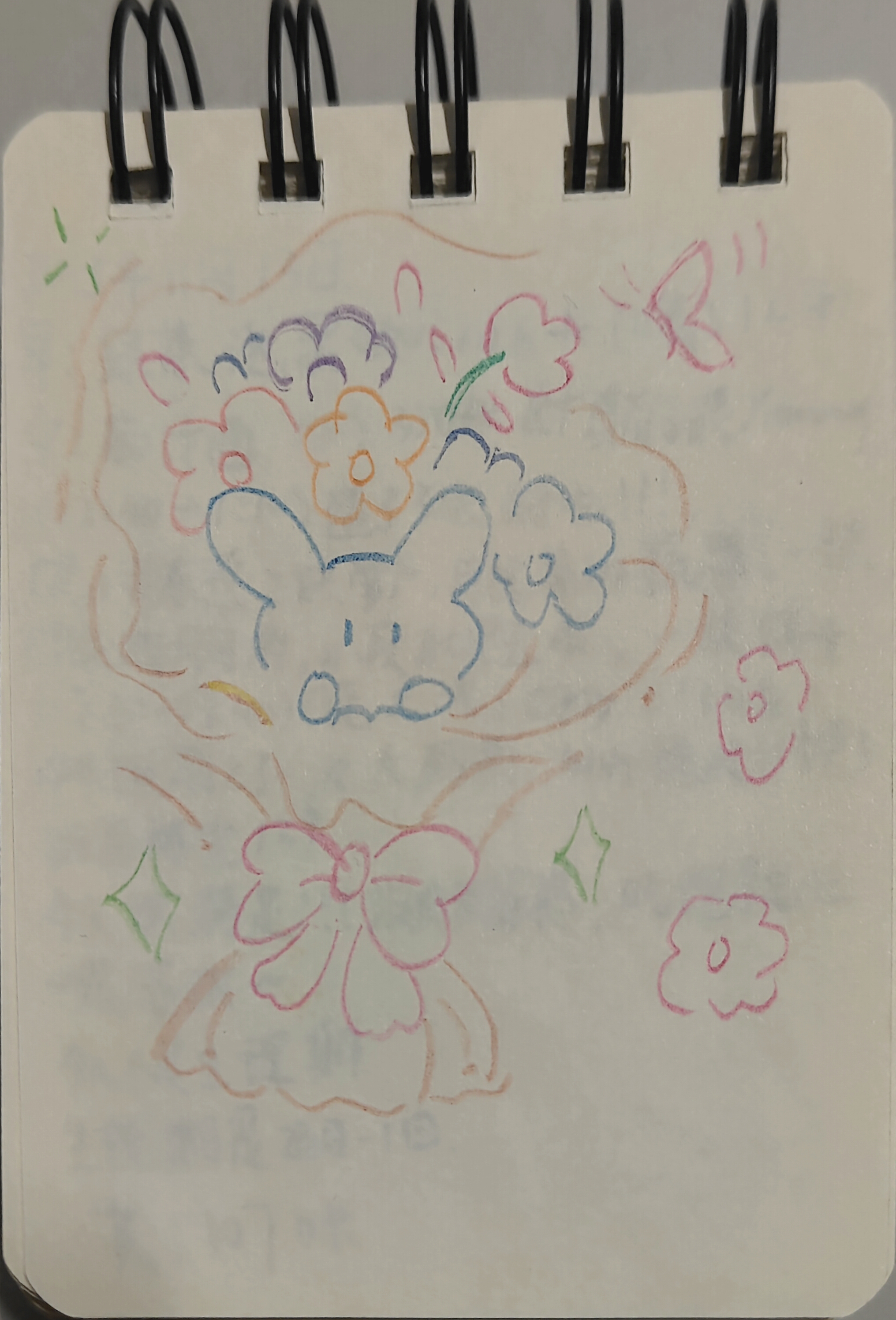 初中语文郑怡琳老师