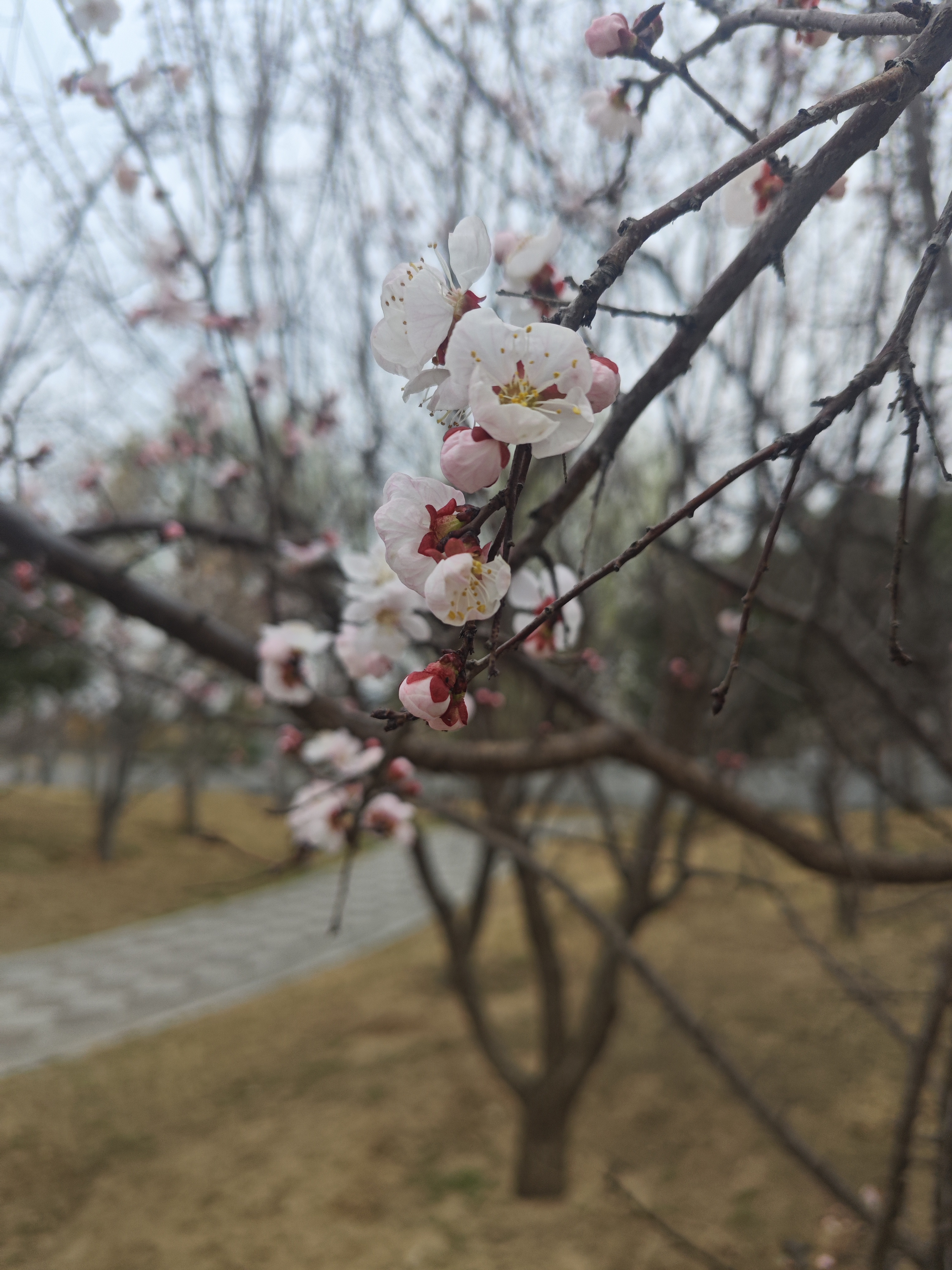 初中语文刘越洋老师