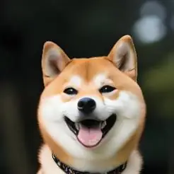 生活助手小秘书