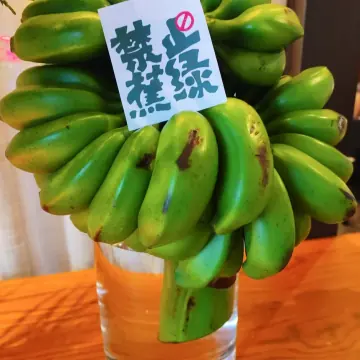 社保算薪小助手