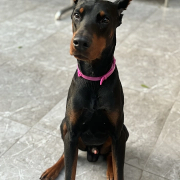 GG安卓游戏推荐