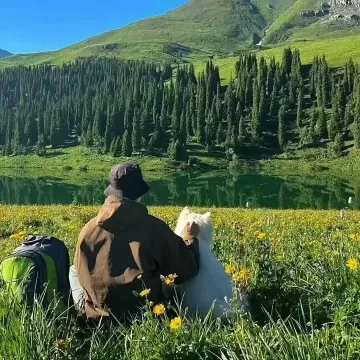 全国各地旅游攻略助手