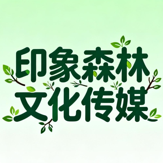山西印象森林文化传媒有限公司