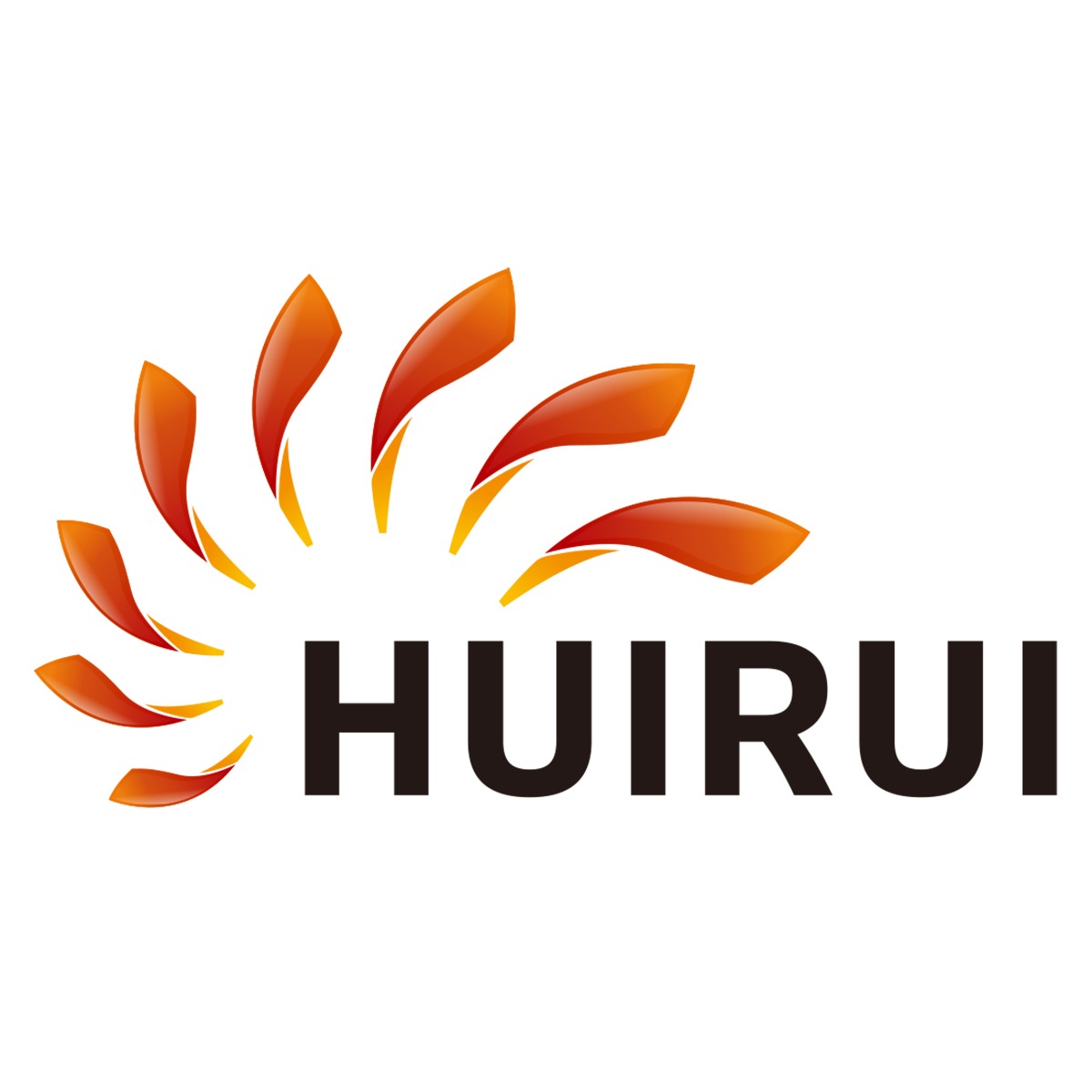 南京辉锐光电科技有限公司