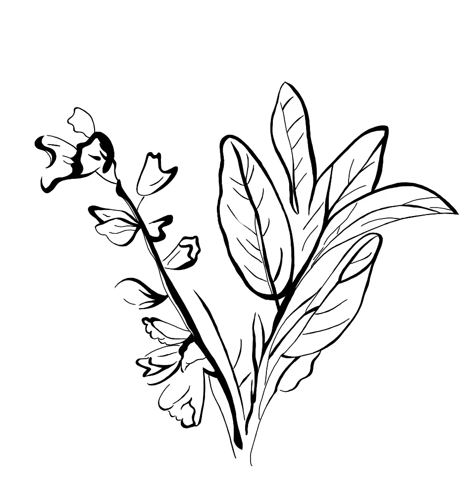 初中数学张倩老师