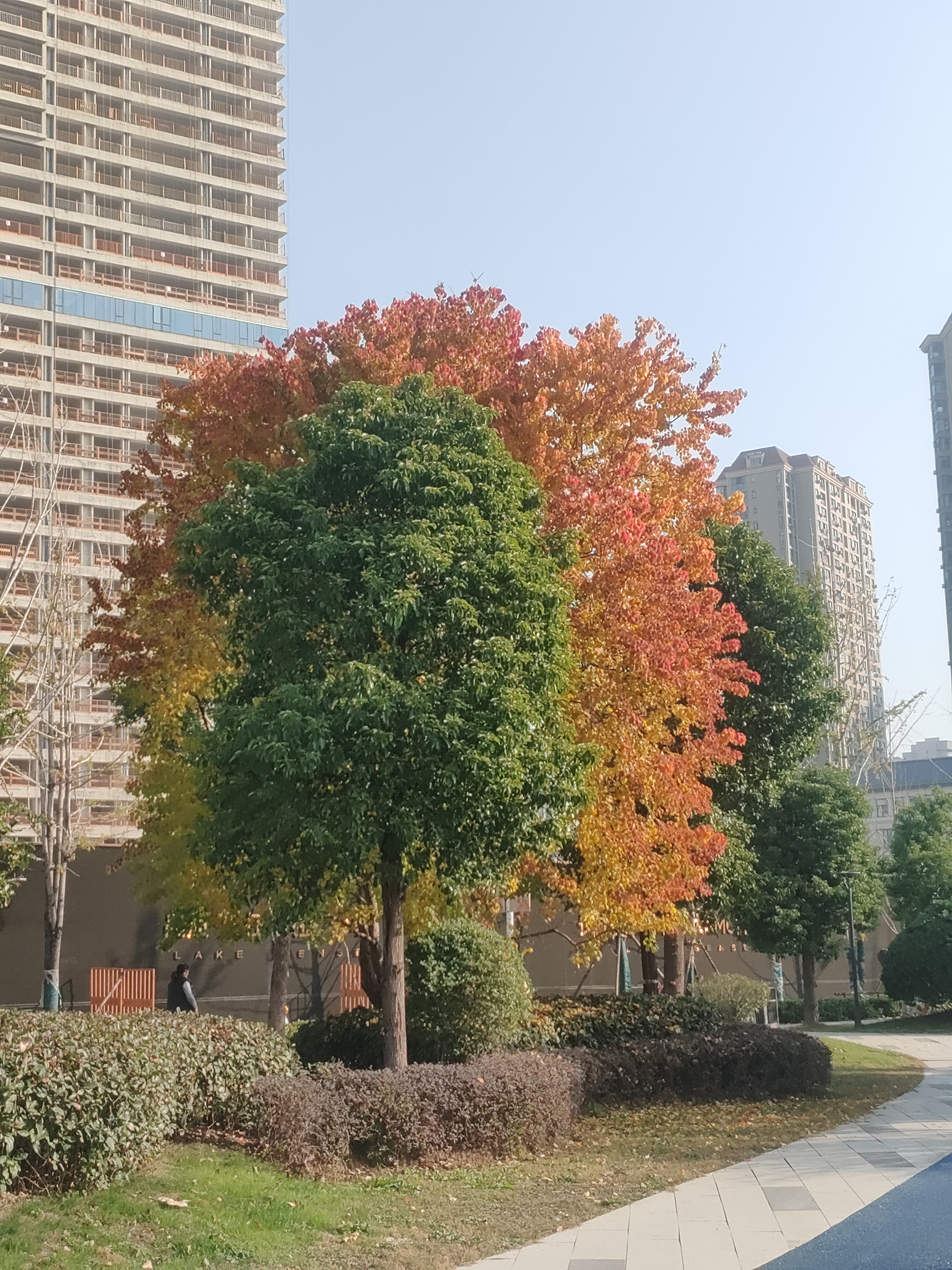 小学数学李白老师