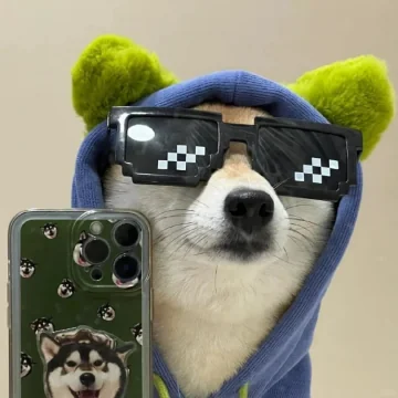 修狗工具体验助手