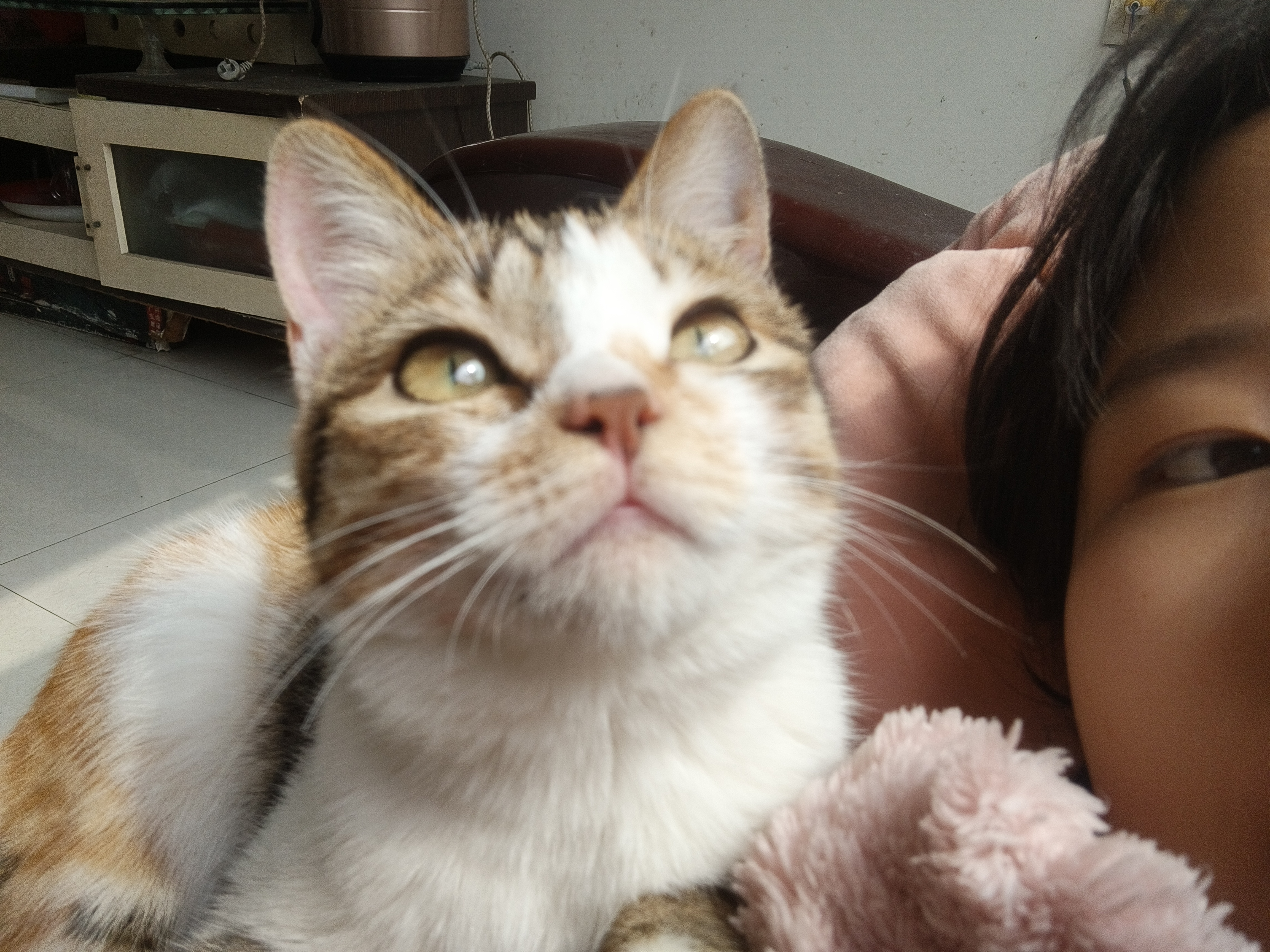 小学英语王桥菲老师