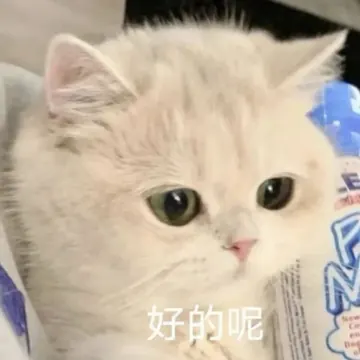 茶茶学习资料分享