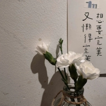 高中数学丽丽老师