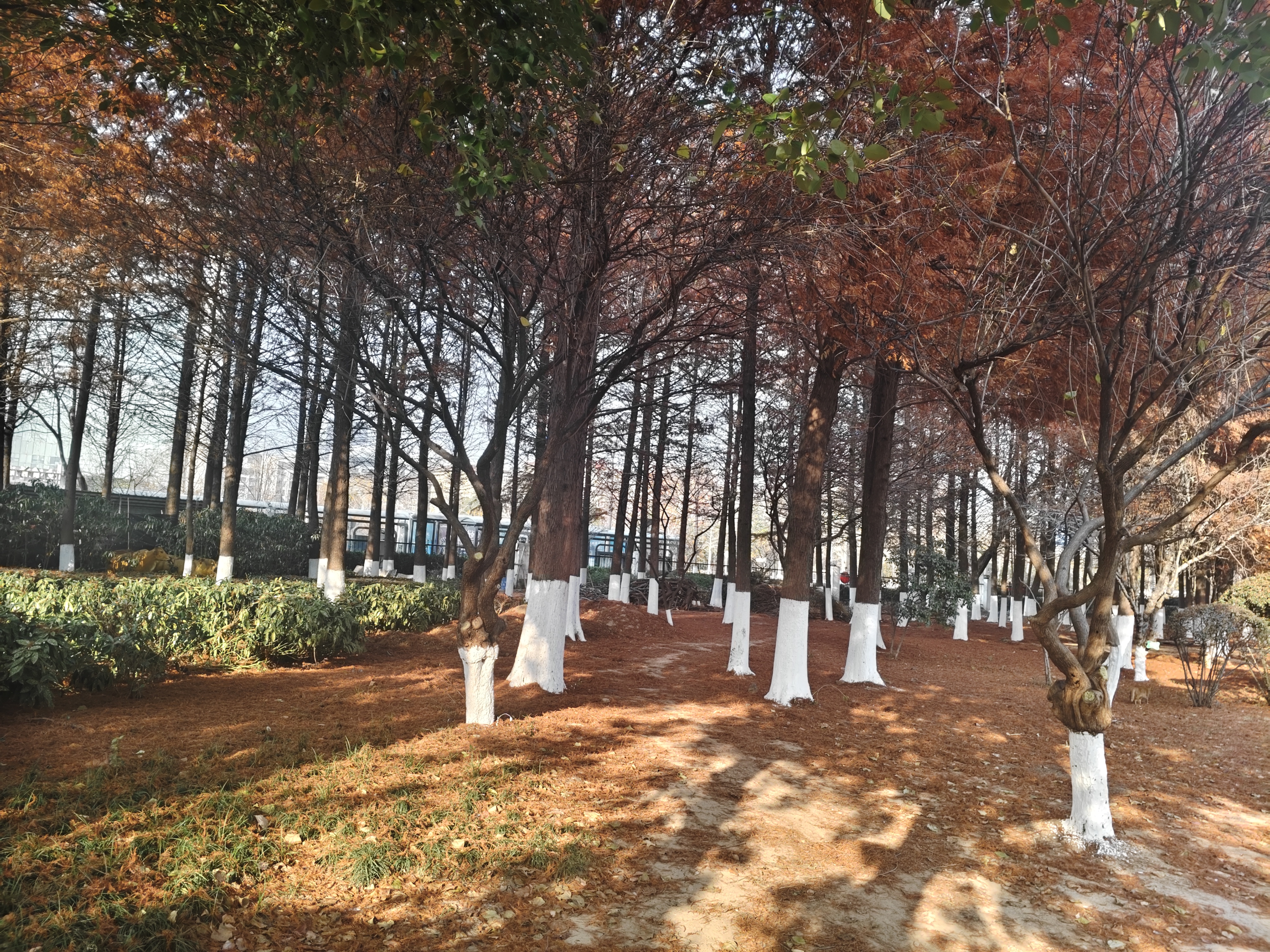 小学数学小刘老师