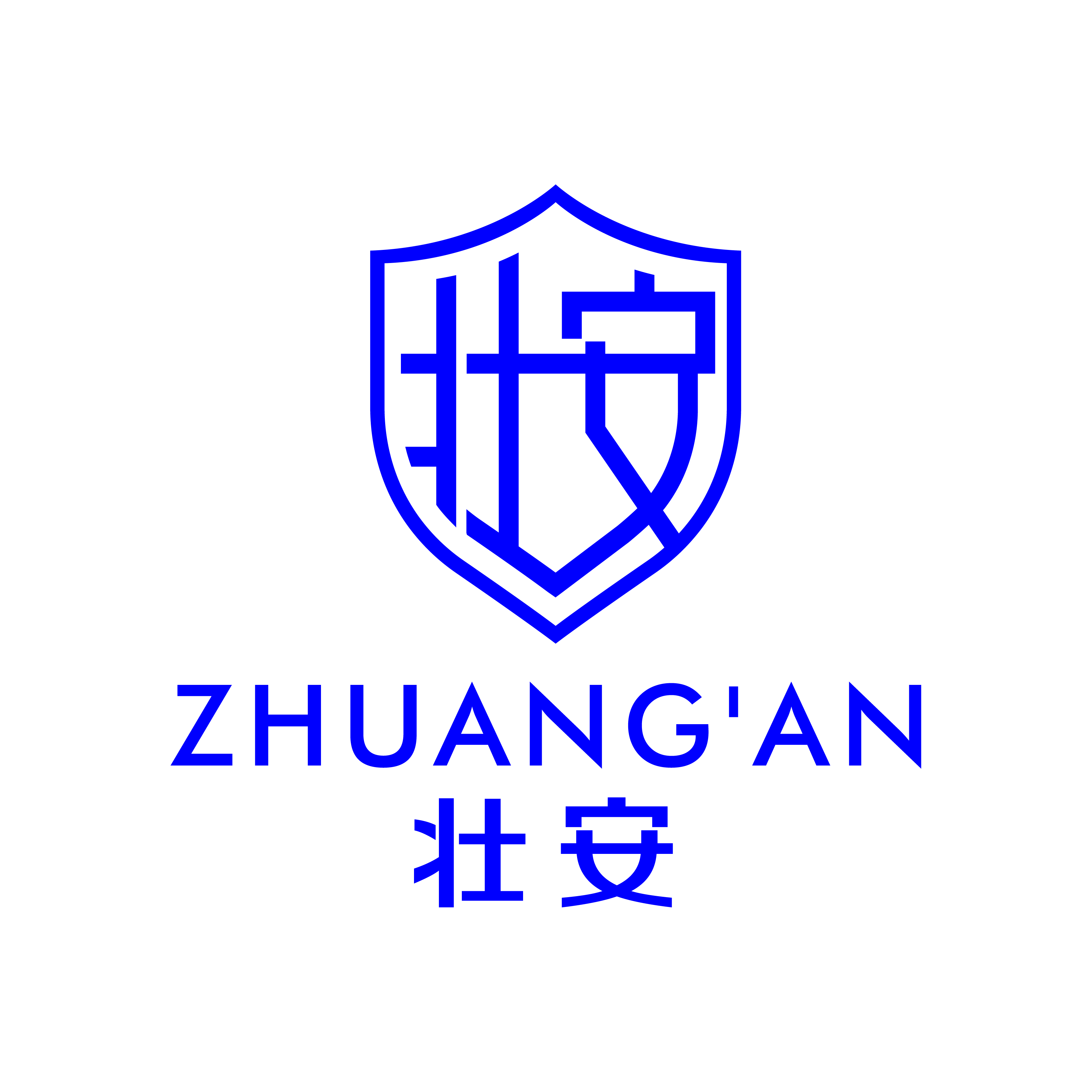 山东壮安科技发展有限公司