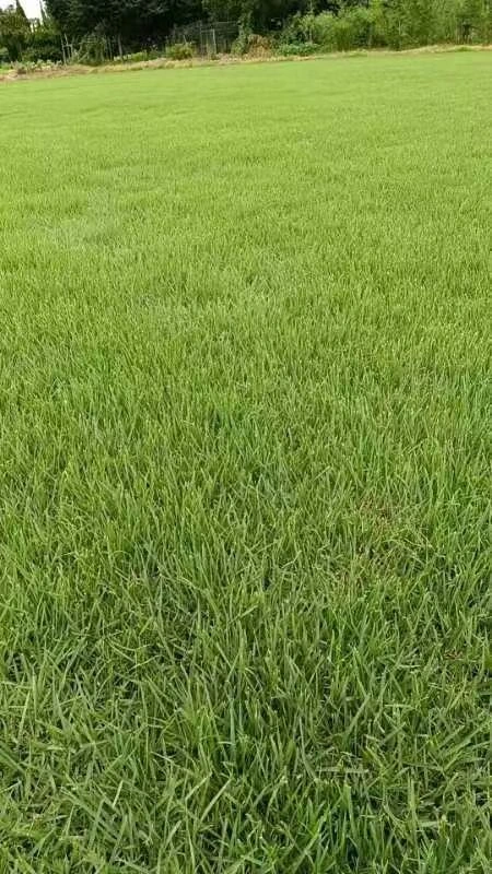 江苏三草农业科技有限公司