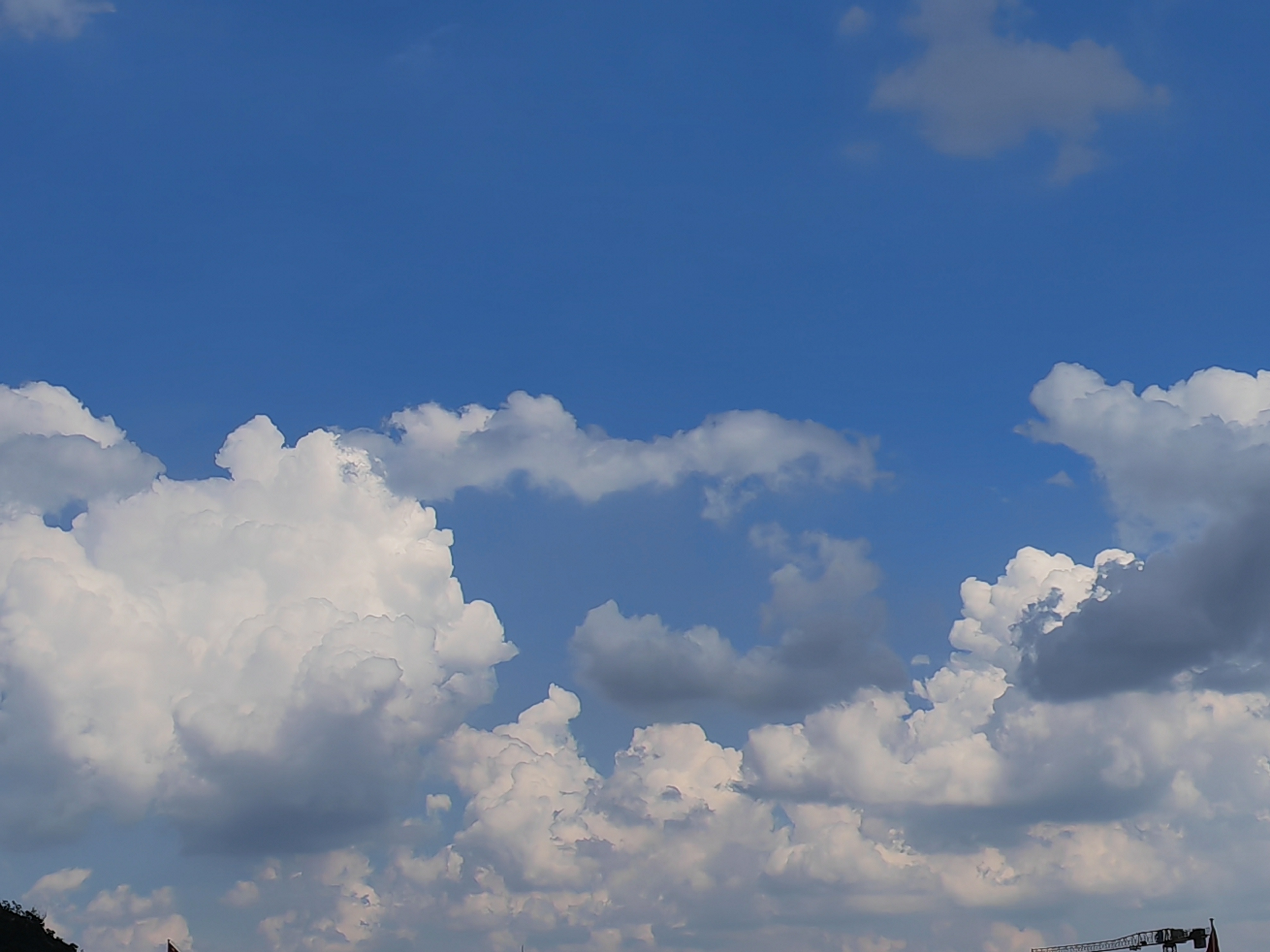 小学数学贺贺老师