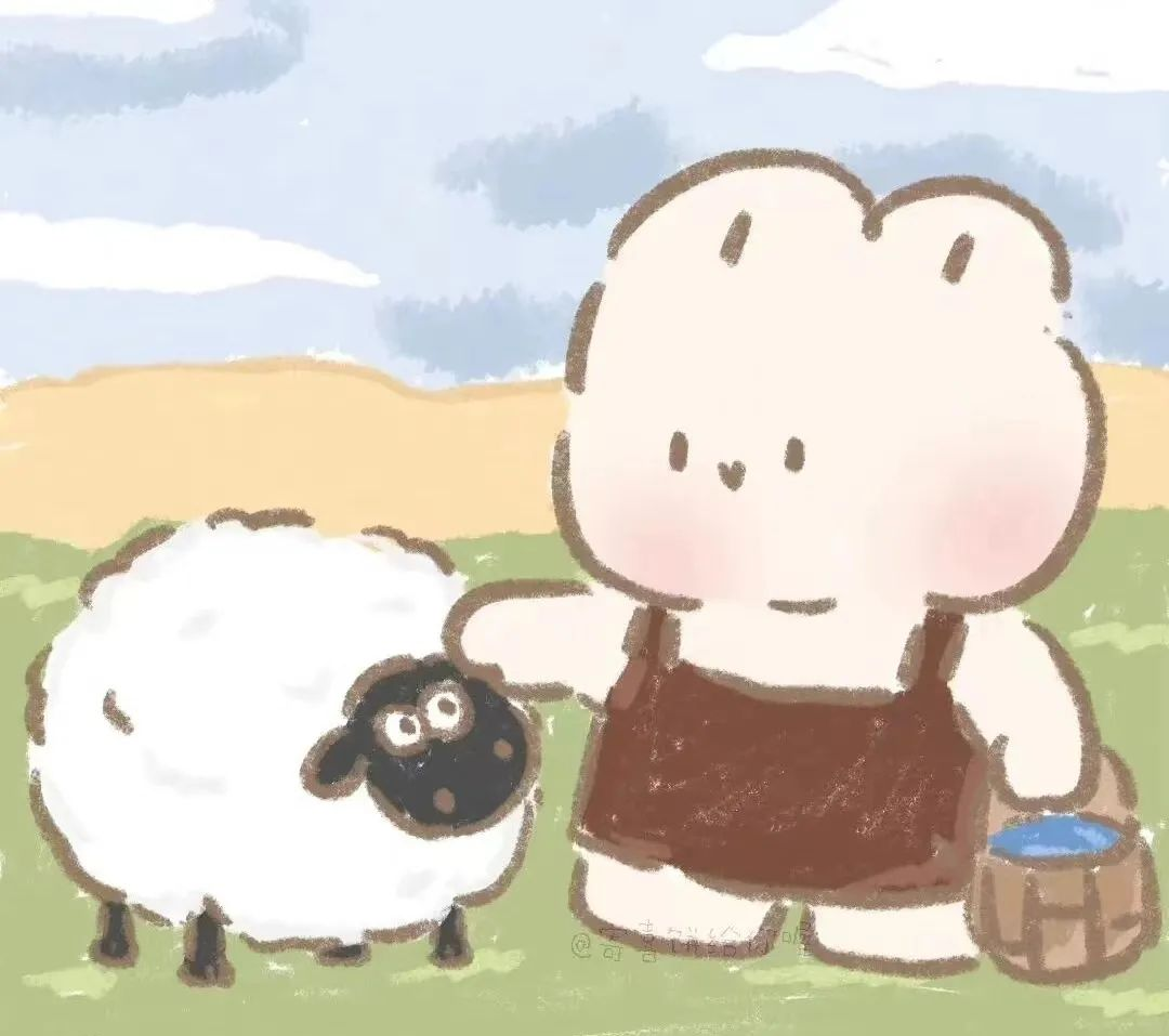 初中数学苗学芹老师