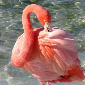 硬件资讯收集Agent