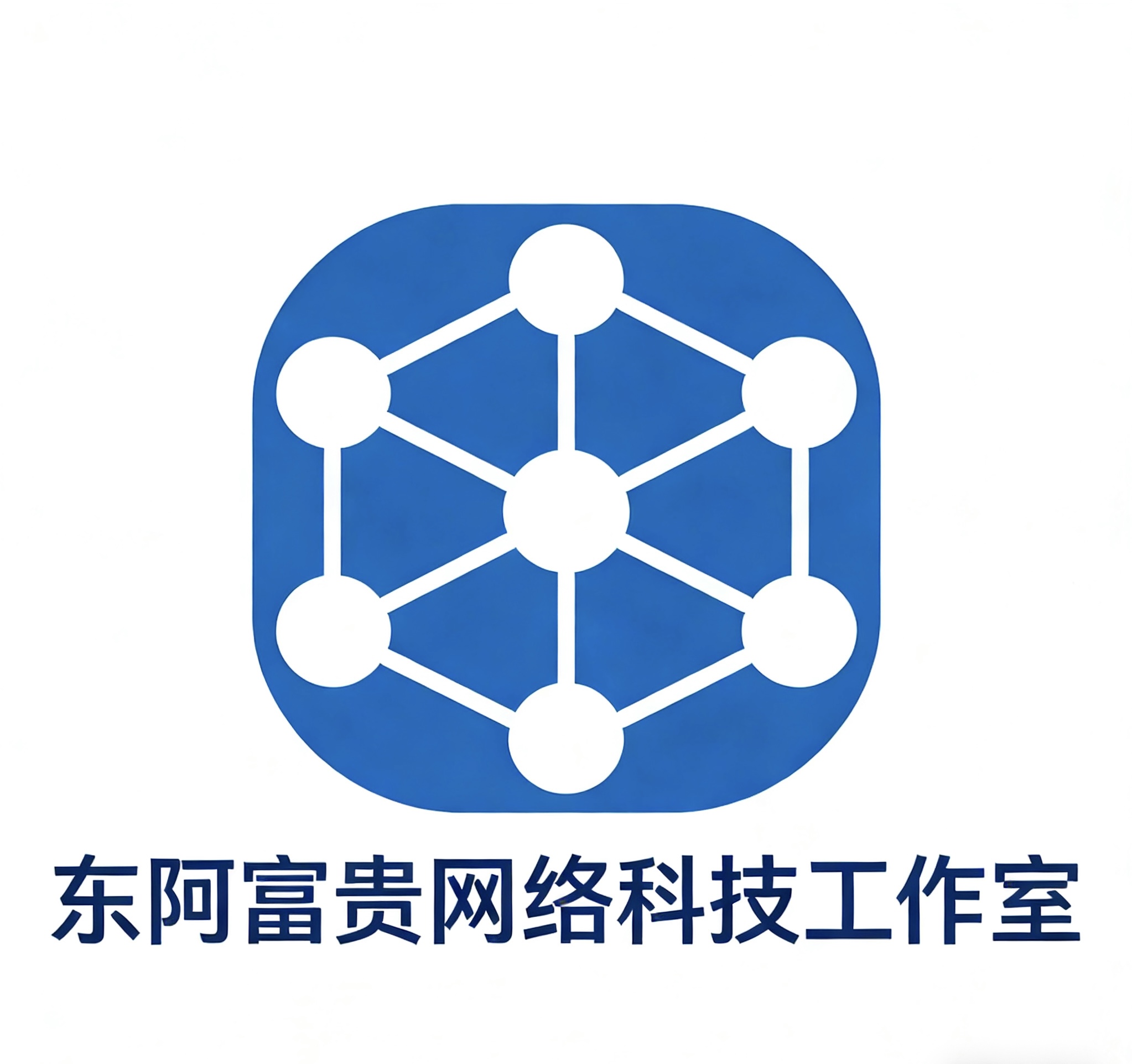 东阿富贵智控网络科技工作室个体工商户