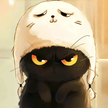 小黑猫的游戏库