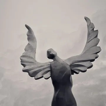 暗香电影解读者