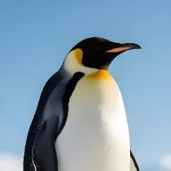 桌面应用智慧库