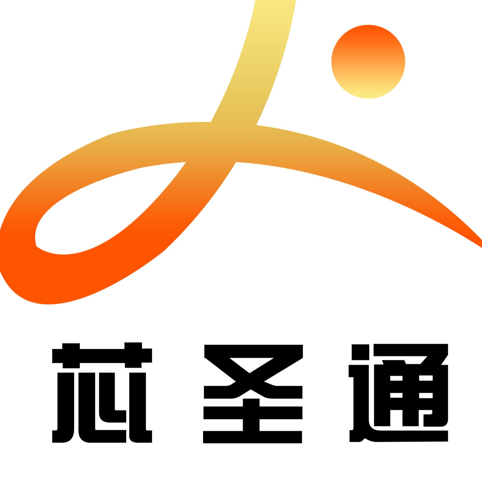 深圳市芯圣通电子有限公司