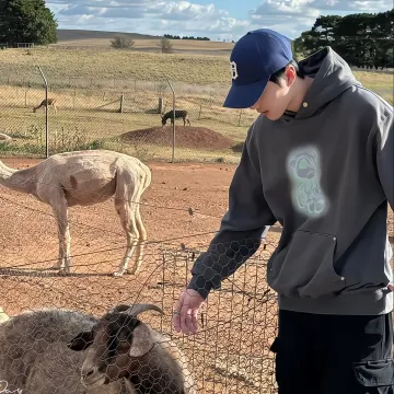 澄心电影解读官