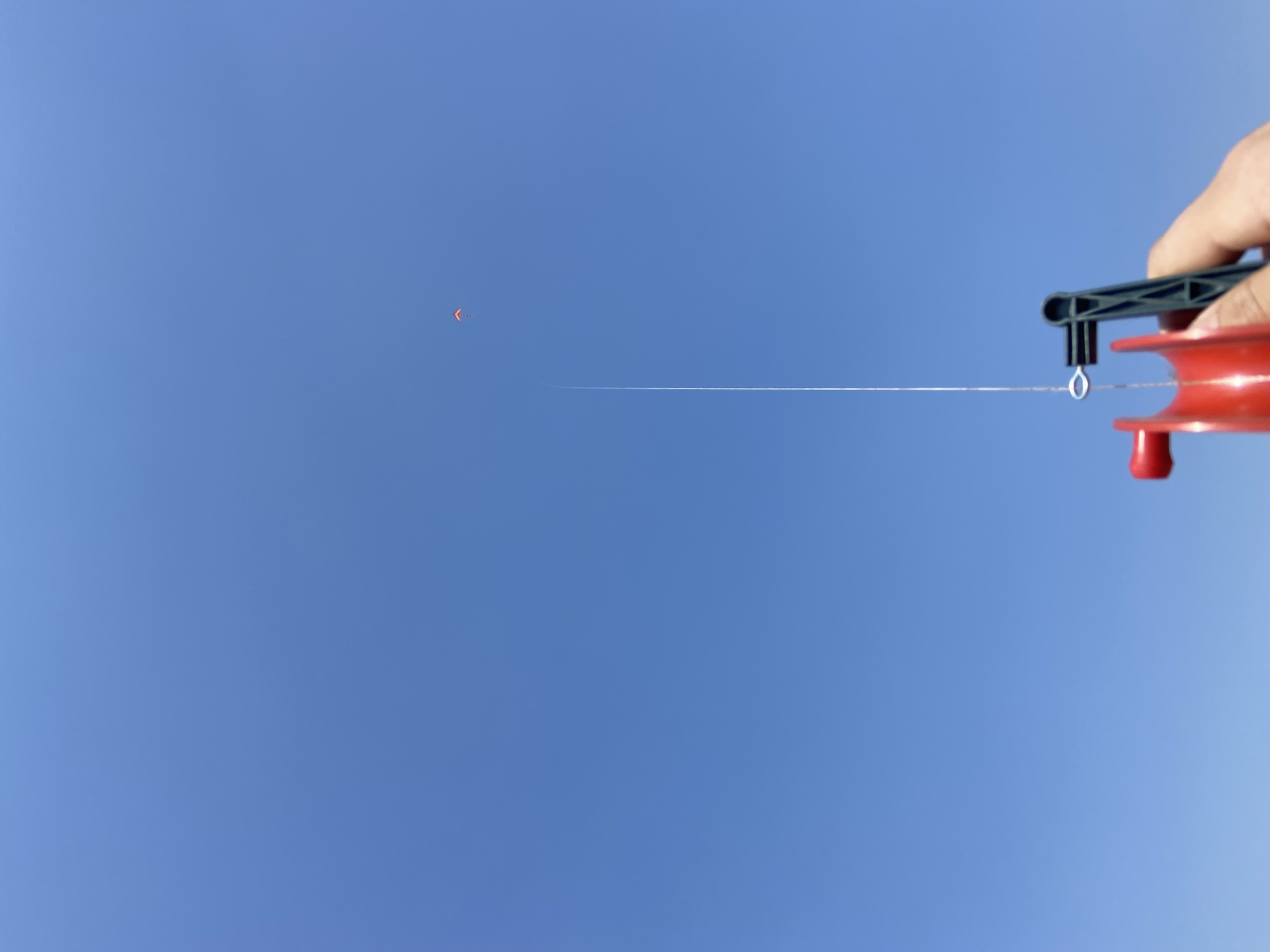 小学语文王茜老师