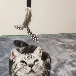 河南文物小灵通糯米