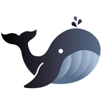 鲸鱼工业防腐油漆