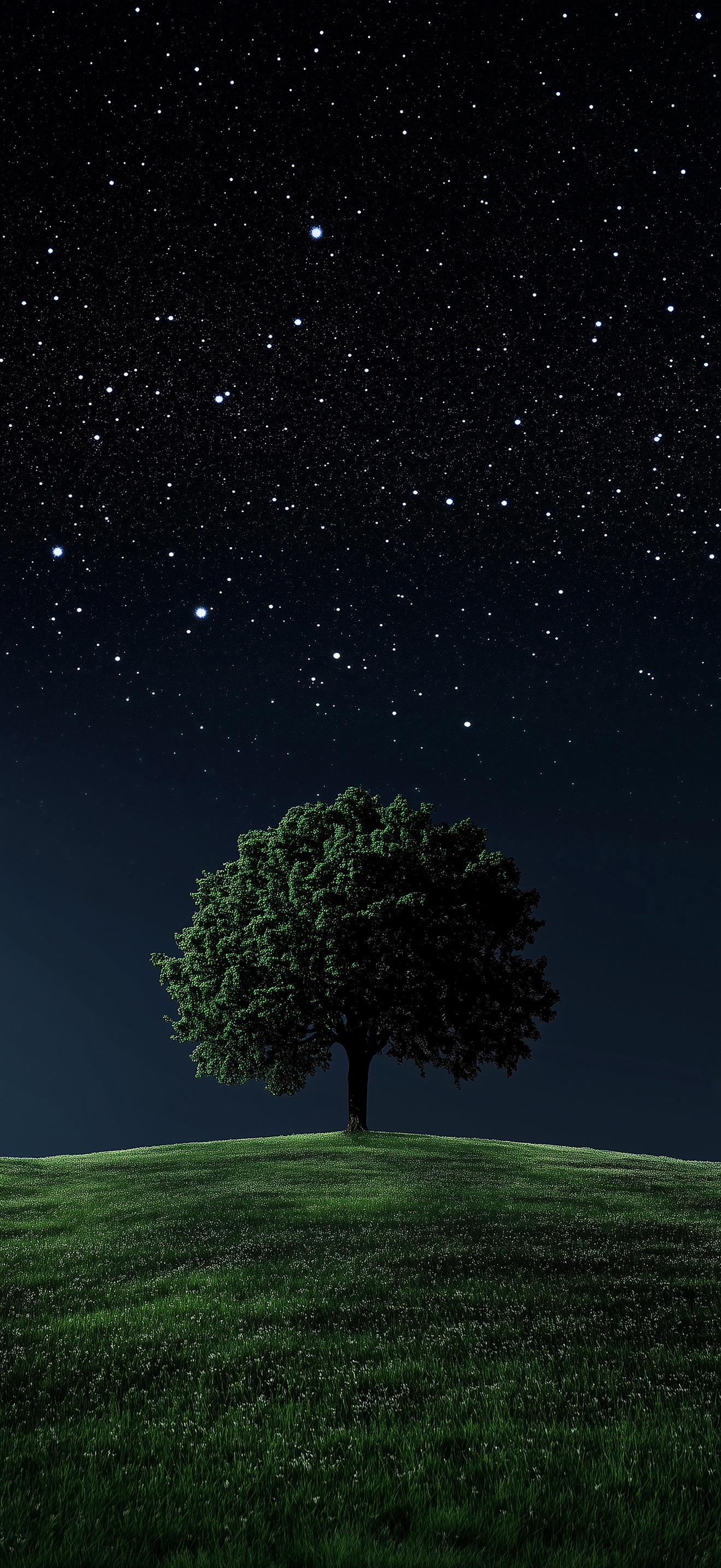 小学语文耿帆老师