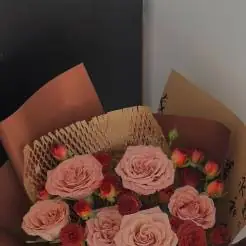 会计智能问答与政策解读助手宋琪创作