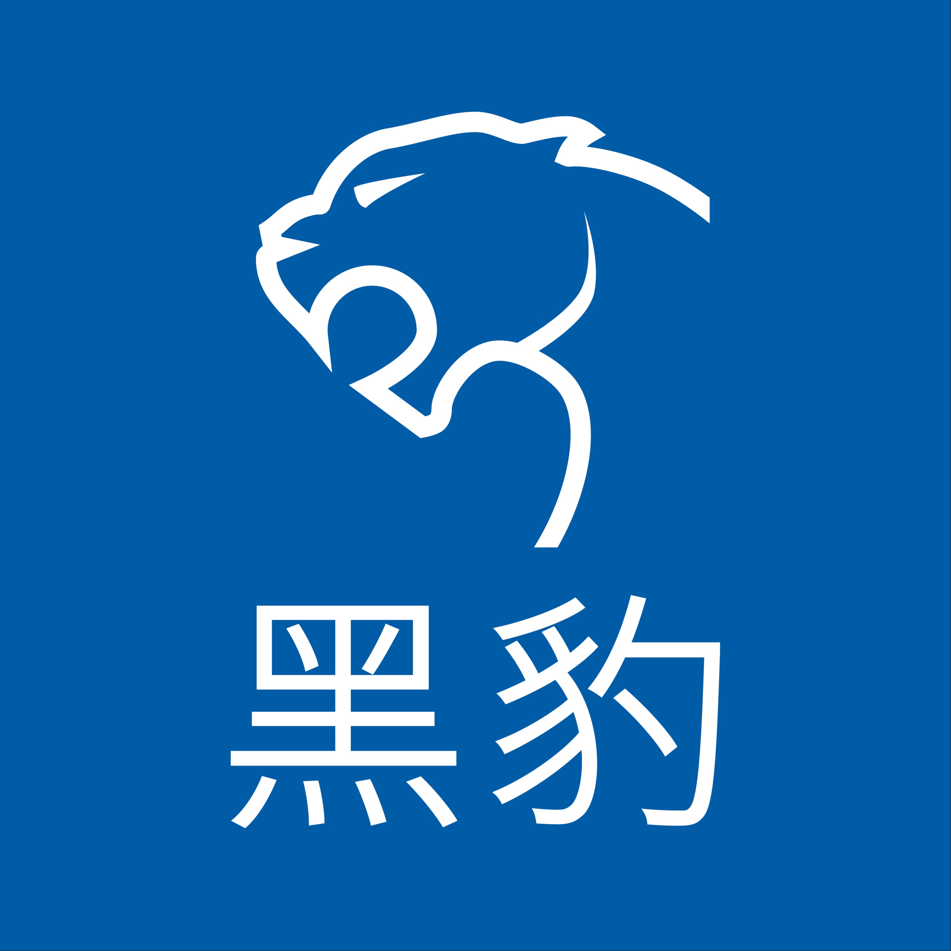 江苏黑豹检测技术有限公司
