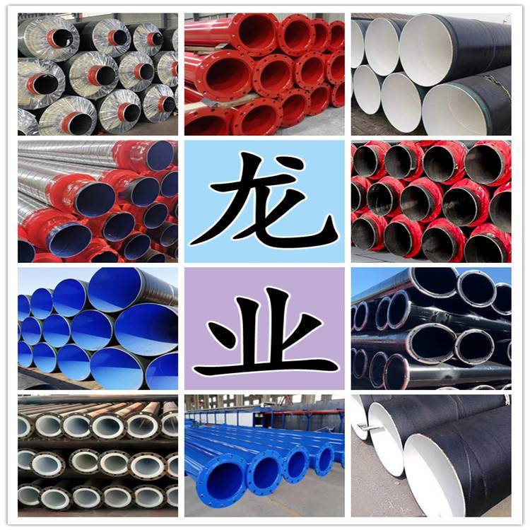 河北龙业管道科技有限公司
