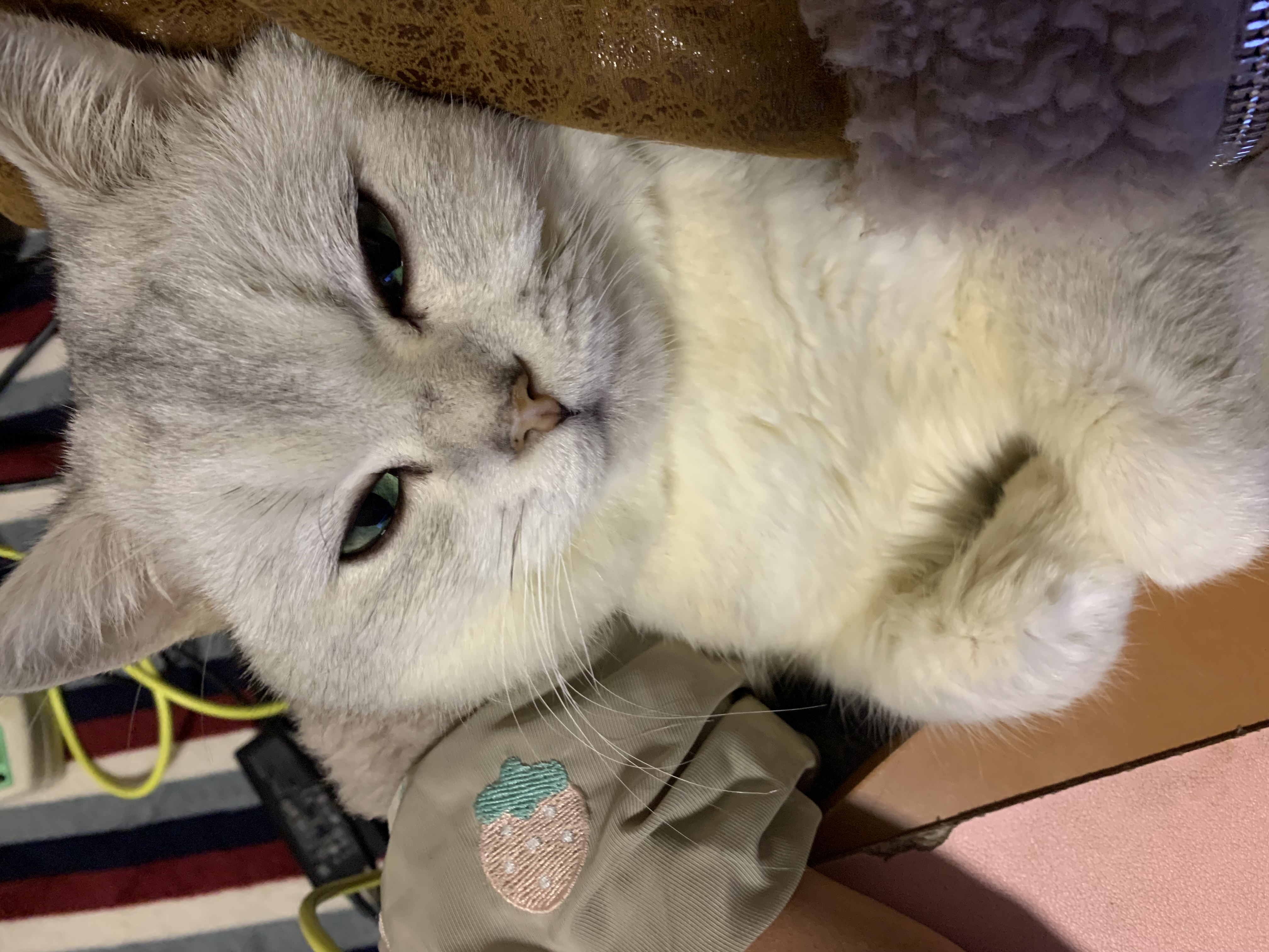 初中数学朱任艳老师