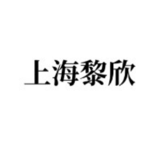 上海黎欣安防工程有限公司