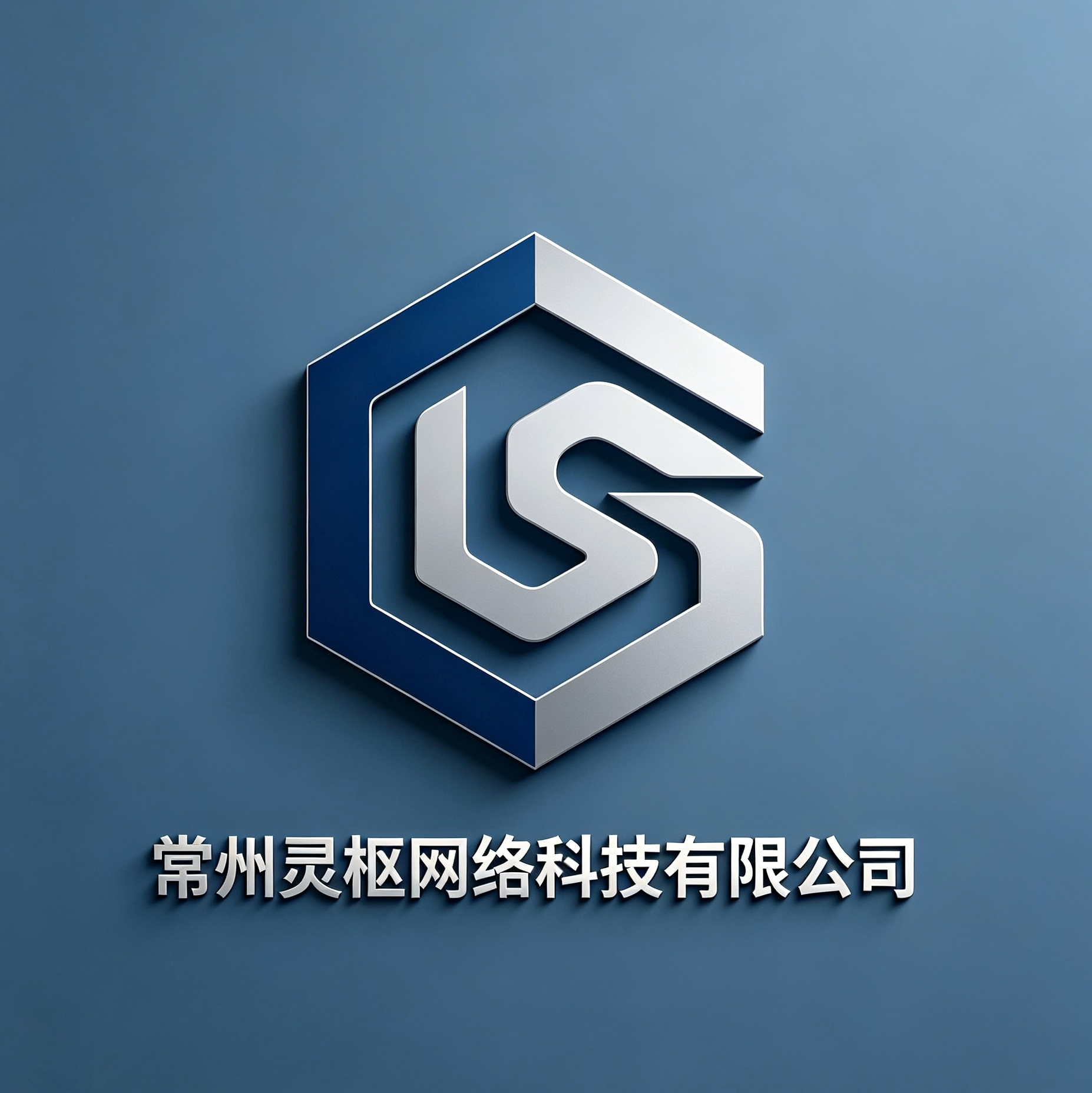 常州灵枢网络科技有限公司