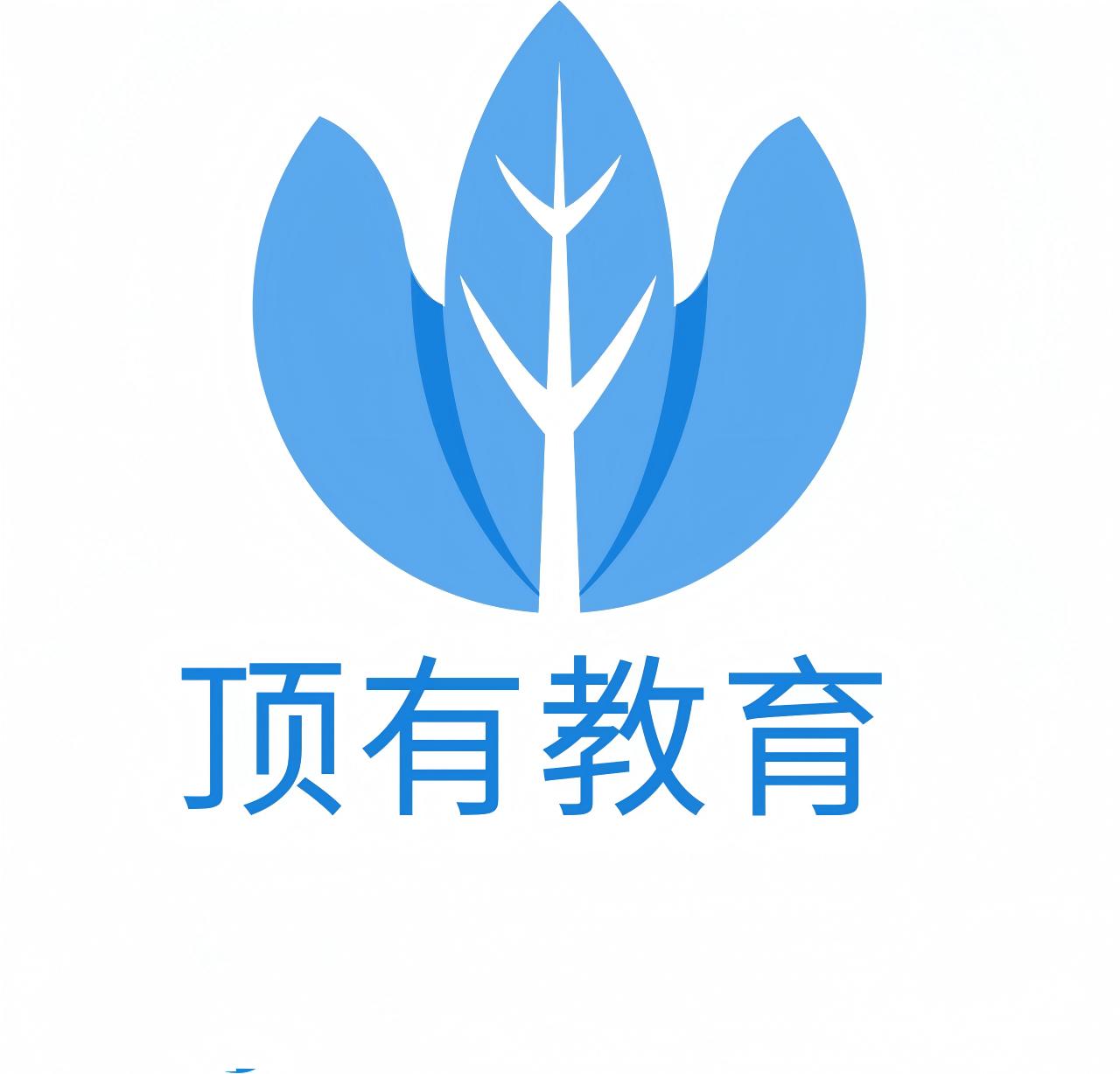 顶有教育科技