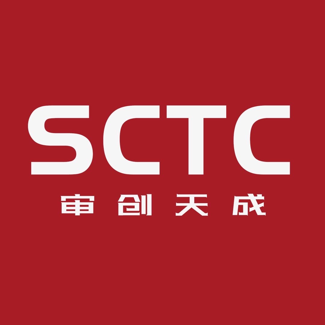 南京审创天成信息科技集团有限公司