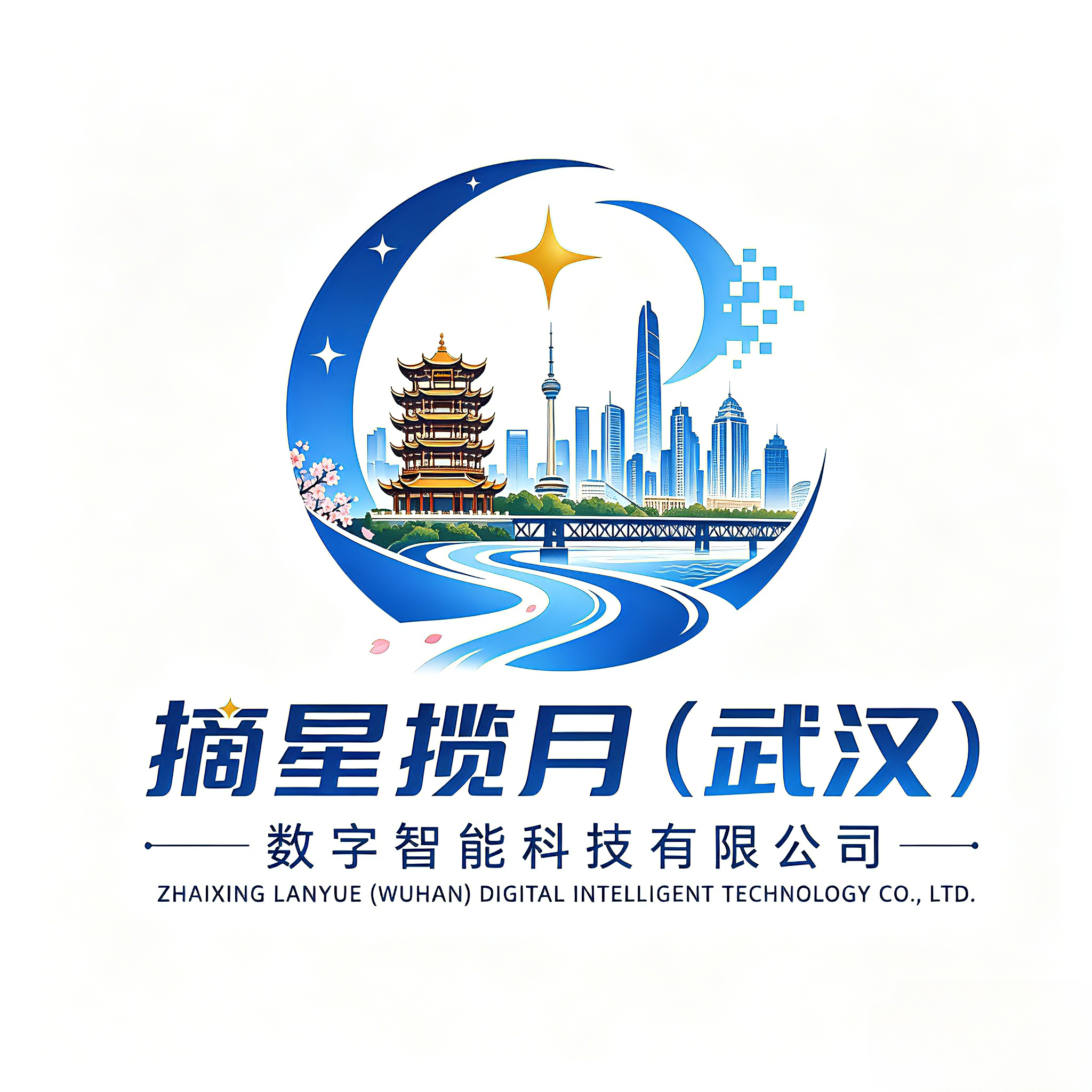 摘星揽月武汉数字智能科技有限公司