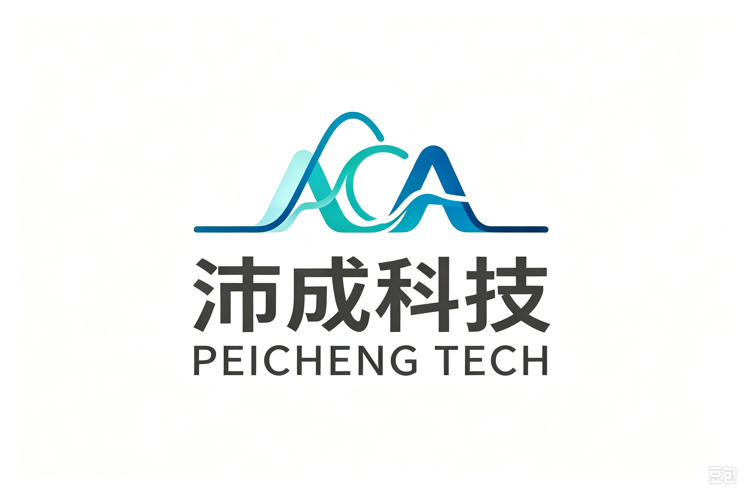 杭州沛成科技服务有限公司