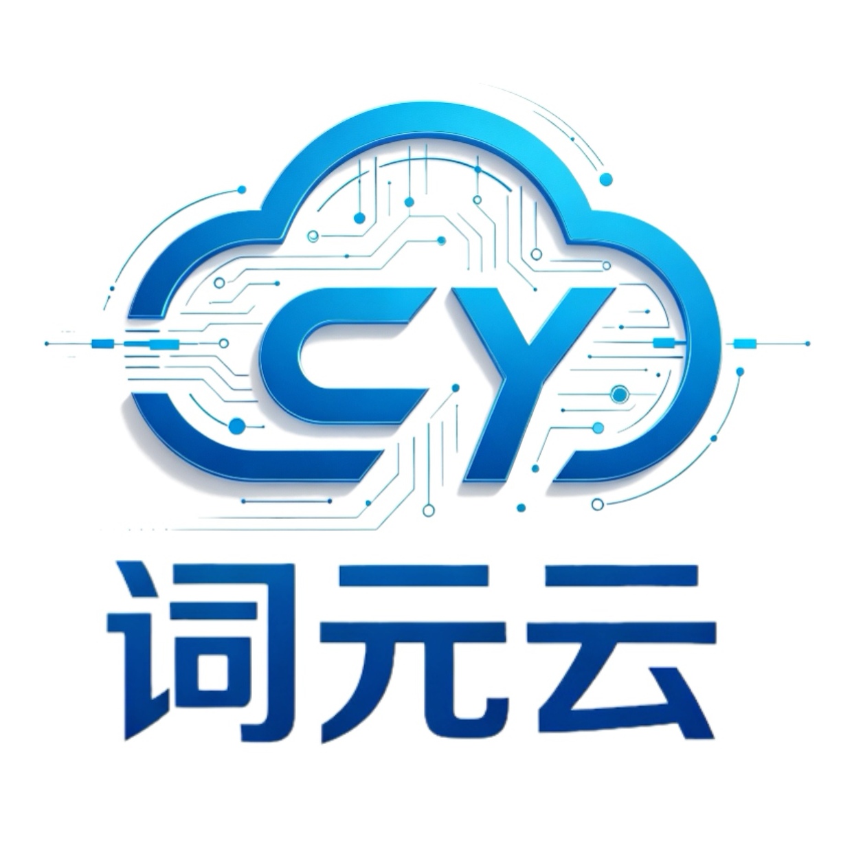 甘肃词元云科技有限公司