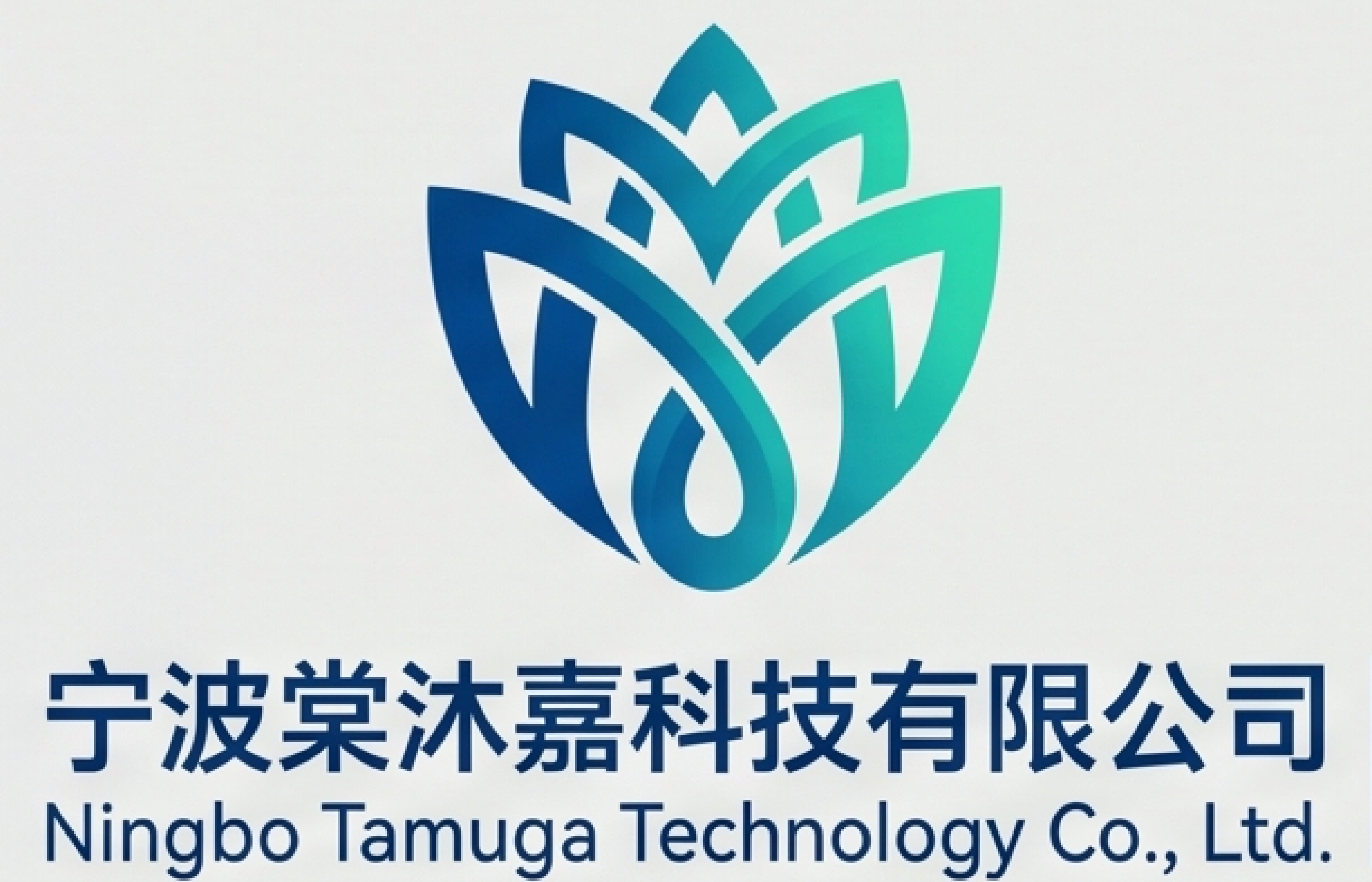 宁波棠沐嘉科技有限公司
