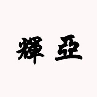 东莞市辉亚电子科技有限公司